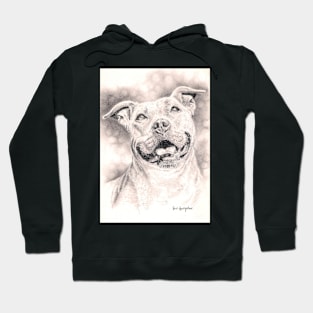 American Pitbull Terrier Hoodie